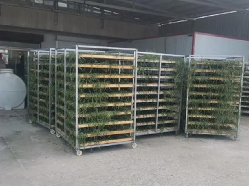 real agricultural product dryer trolley racks with tray loading