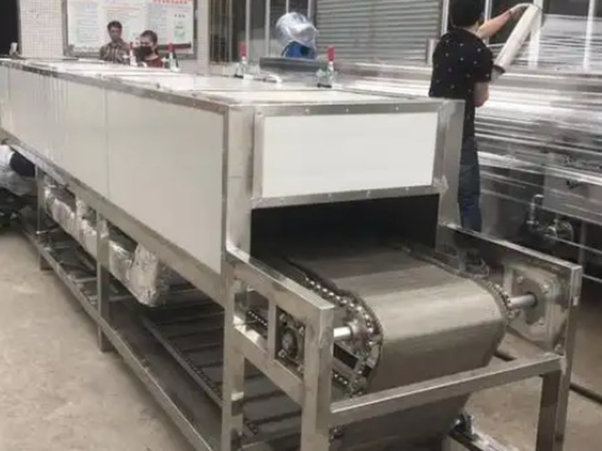 real mesh belt dryer feed section
