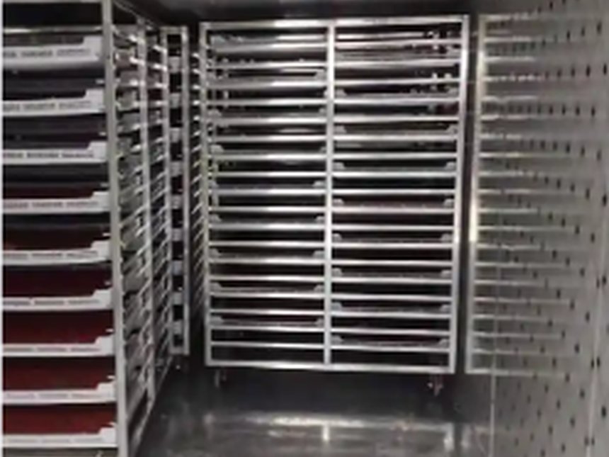 real food drying machine with stainless tray racks